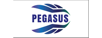 Pegasus Danışmanlık Mühendislik Bilişim Telekom San. ve Tic. Ltd. Şti.