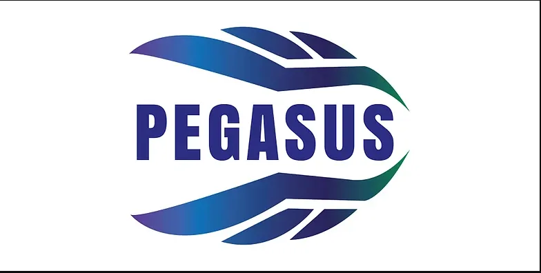 Pegasus Danışmanlık Mühendislik Bilişim Telekom San. ve Tic. Ltd. Şti.