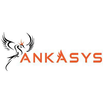 ANKA MİKROELEKTRONİK SİSTEMLER SANAYİ VE TİCARET LTD. ŞTİ.