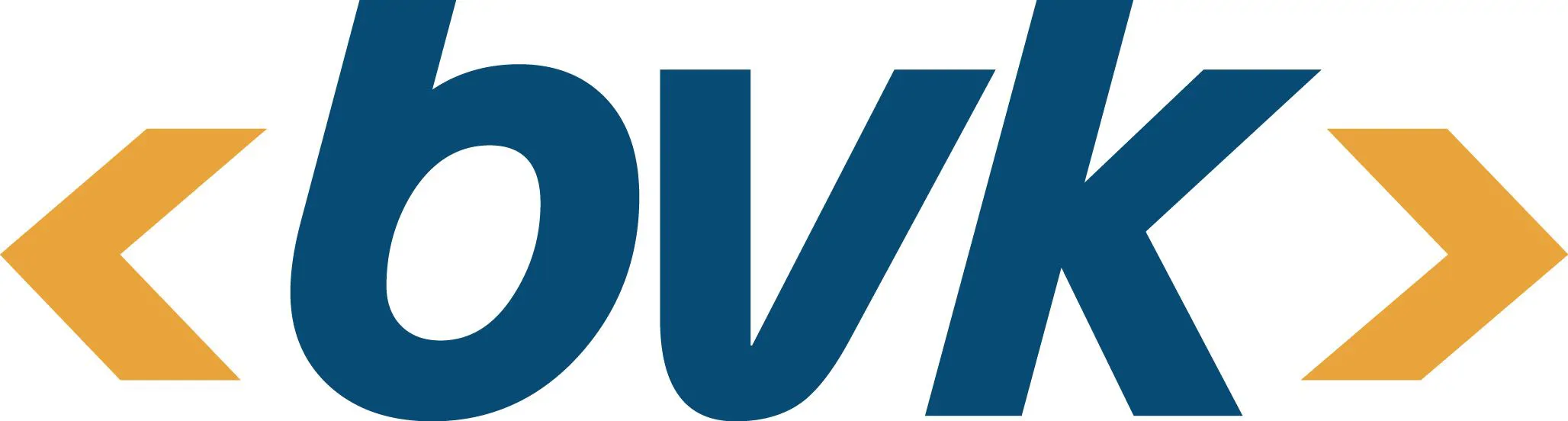 BVK TEKNOLOJİ A.Ş